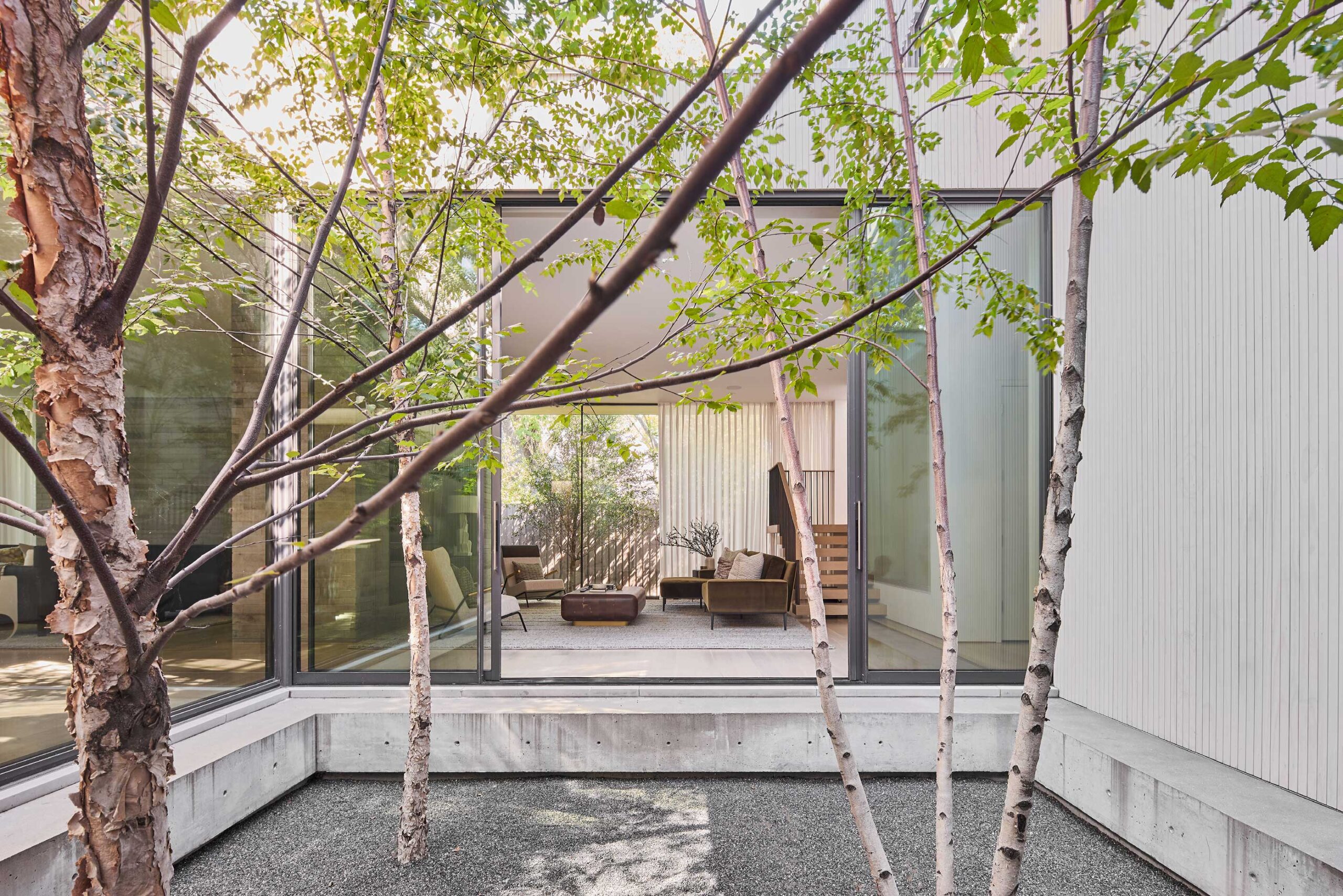 Indoor courtyard with trees and gravel, surrounded by floor-to-ceiling windows revealing a modern living room.