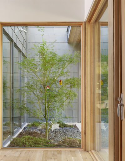 Indoor courtyard with a small tree and rock garden, viewed through large glass windows and wooden frames.