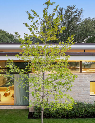 Modern house with large windows, light stone exterior, and flat roof, shown from outside with a young tree and manicured green lawn in the foreground.